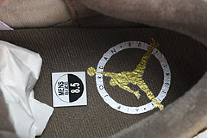 Air Jordan 3 "Palomino" CT8532-102