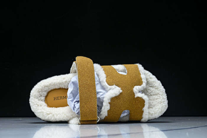 H*RMES  SLIDS   HM-51