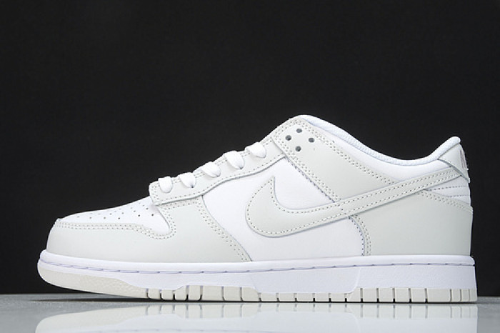 Nike Dunk Low "Photon Dust" DD1503-103