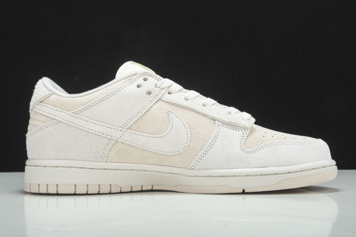 Nike Dunk Low Retro  Prm DD8338-001