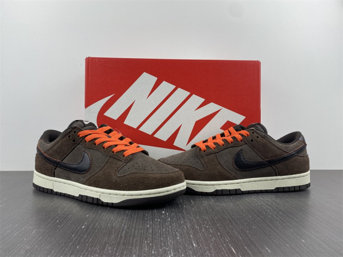 Nike Dunk Low Retro  DQ8801-200