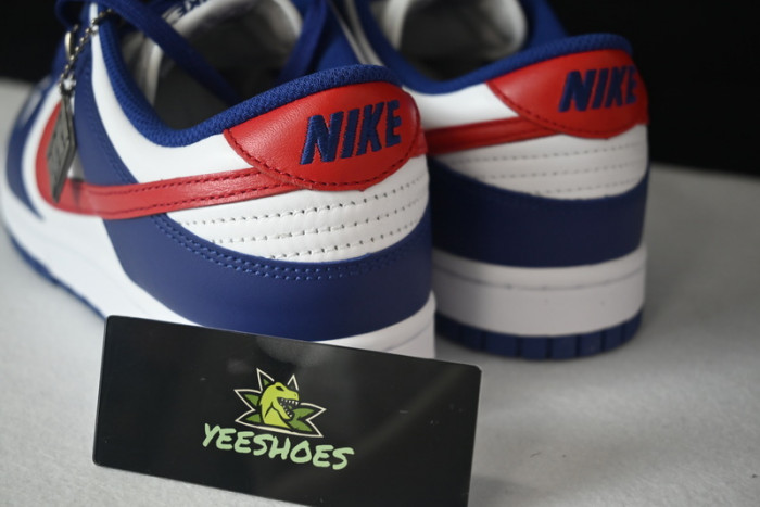 NIKE DUNK LOW DD1503-119