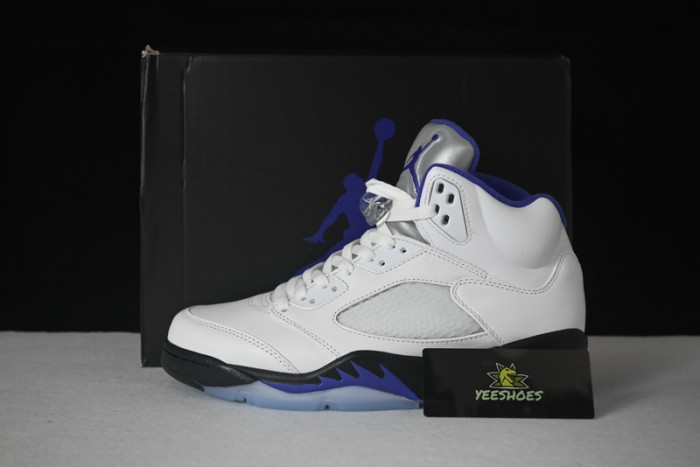 Air Jordan 5 “Concord” DD0587-141